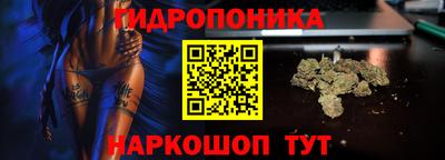 ECSTASY Будённовск