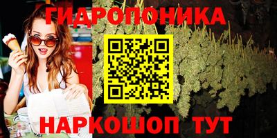 шишки Бузулук