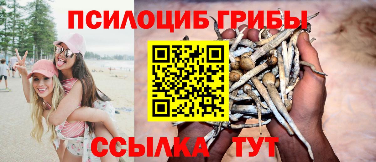 Галлюциногенные грибы мухоморы Коркино
