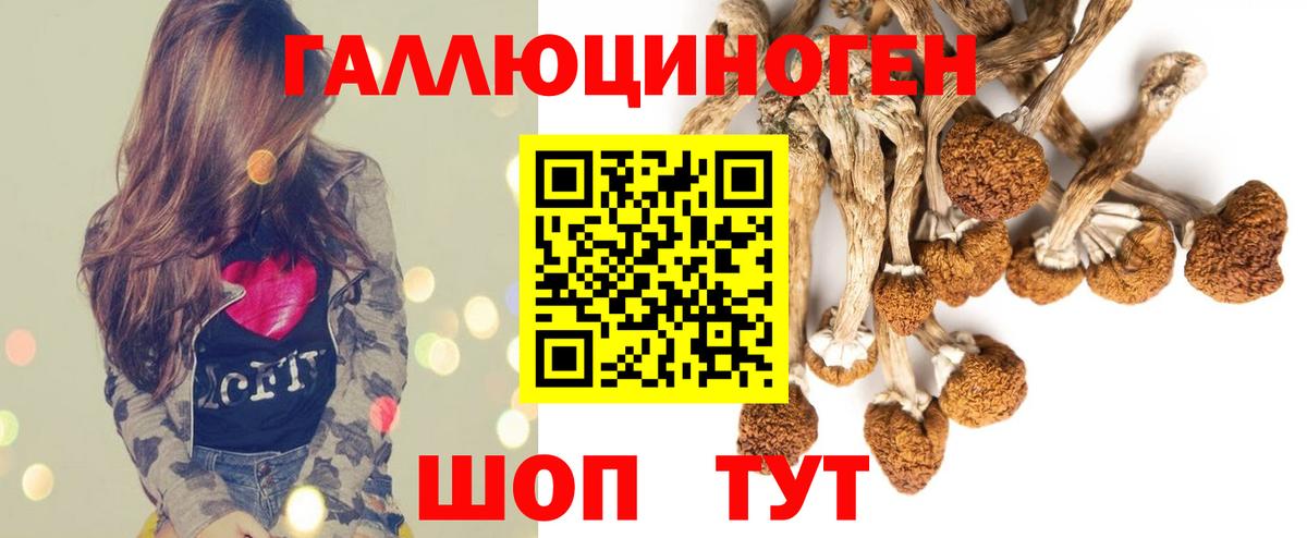 как найти наркотики  Вход с VPN  Коркино  Галлюциногенные грибы мицелий 
